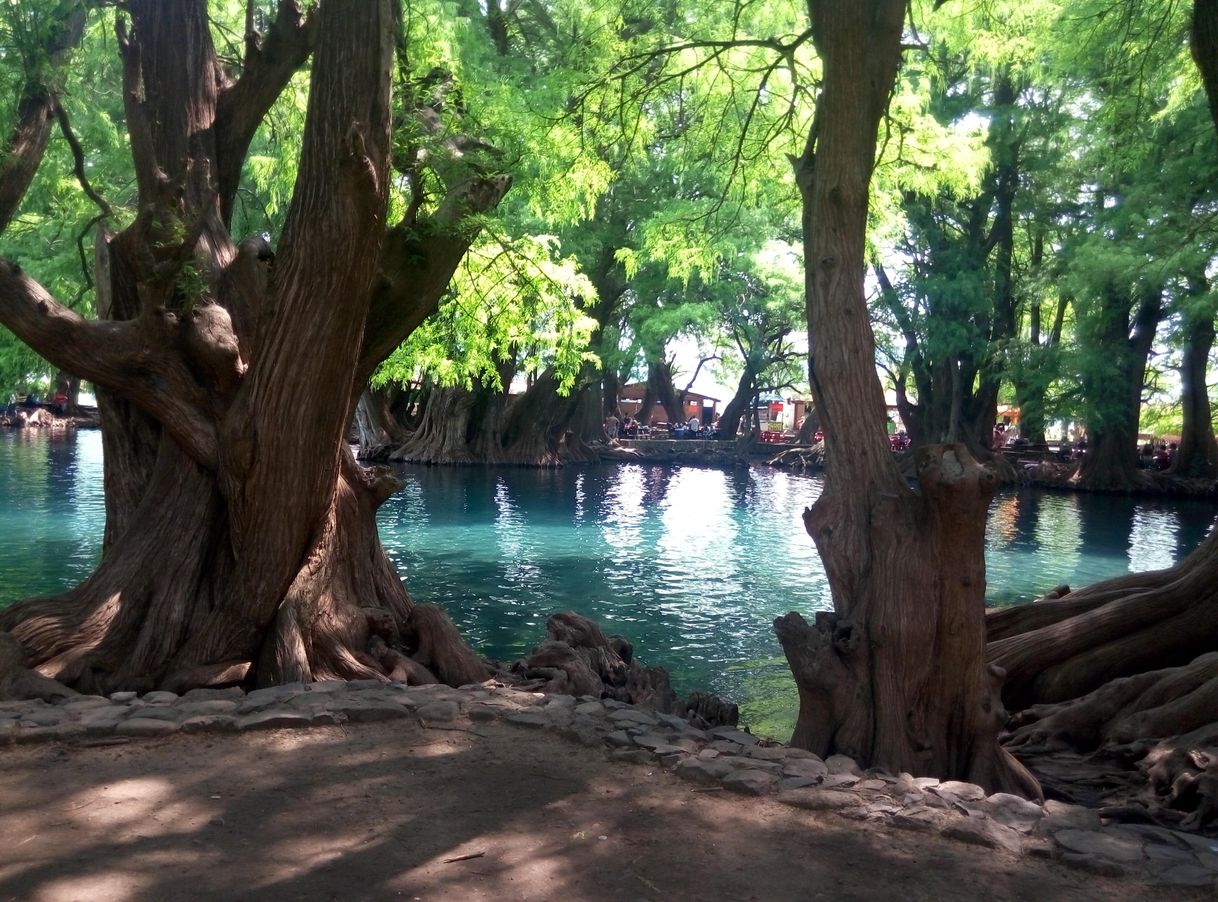 Lugar Lago de Camécuaro