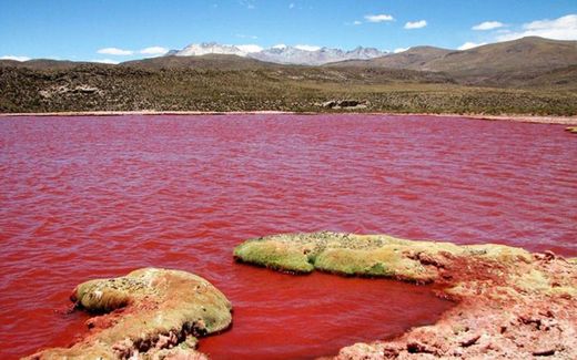 Laguna Roja 