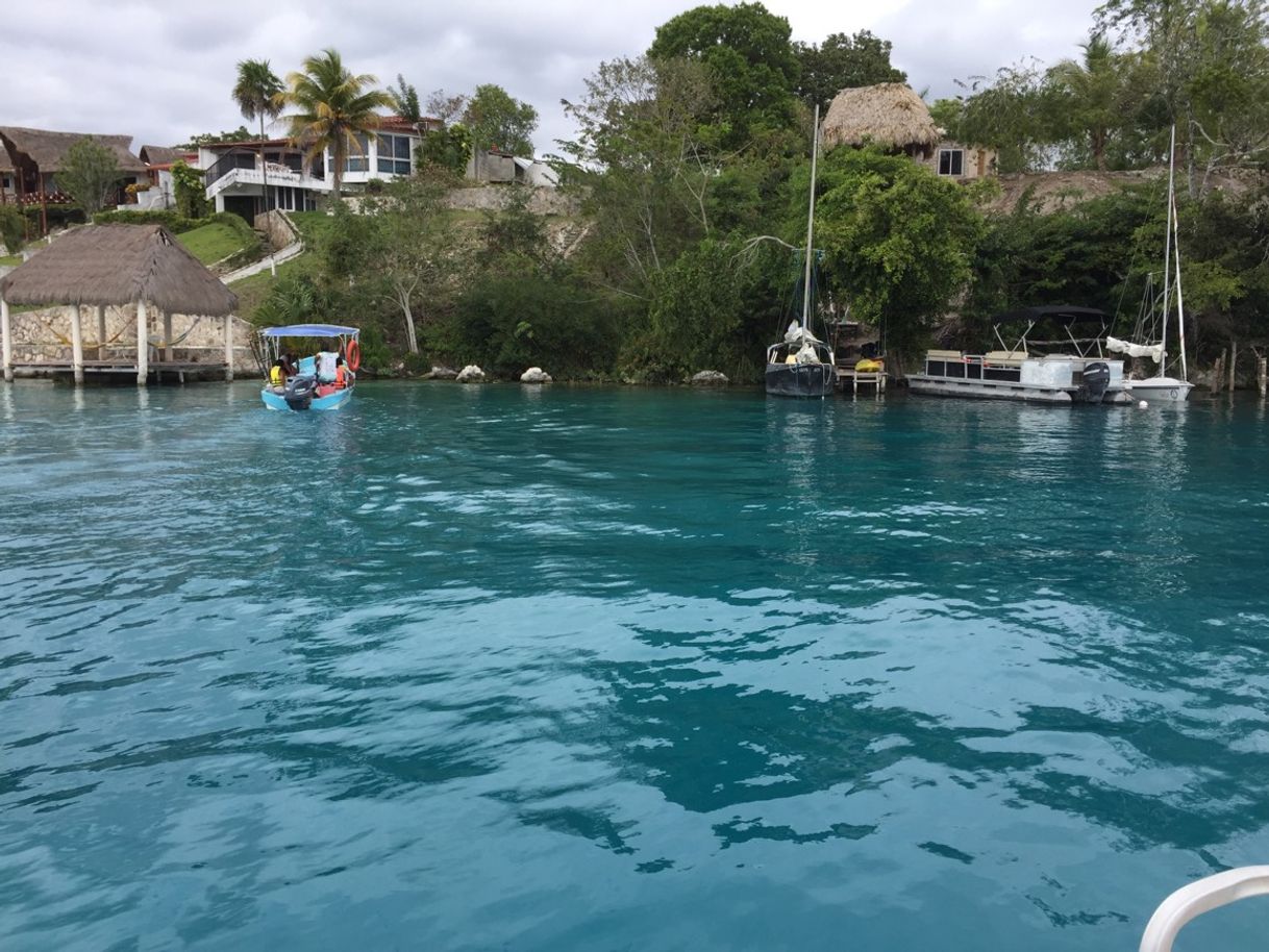 Bacalar