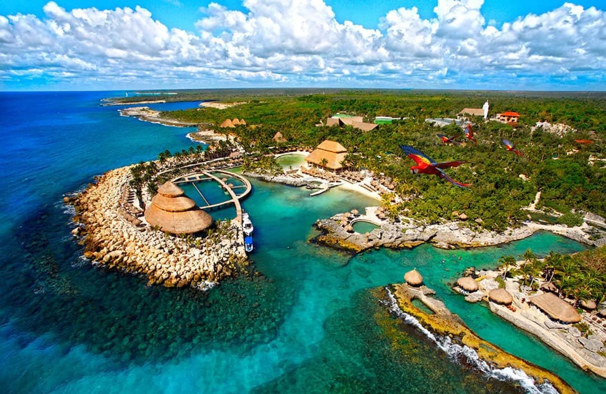 Place XCARET