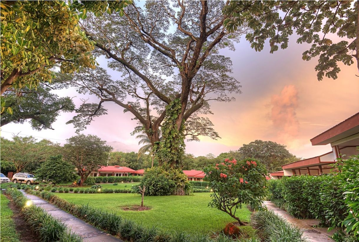 Lugar Hotel Hacienda Guachipelin