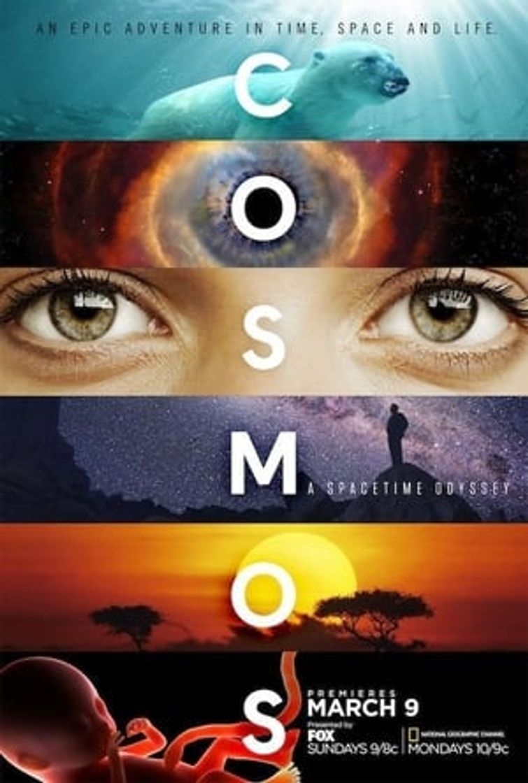 Movies Cosmos: A Spacetime Odyssey