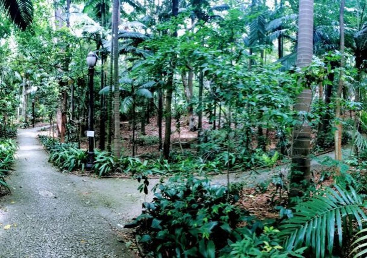 Lugar Trianon Park