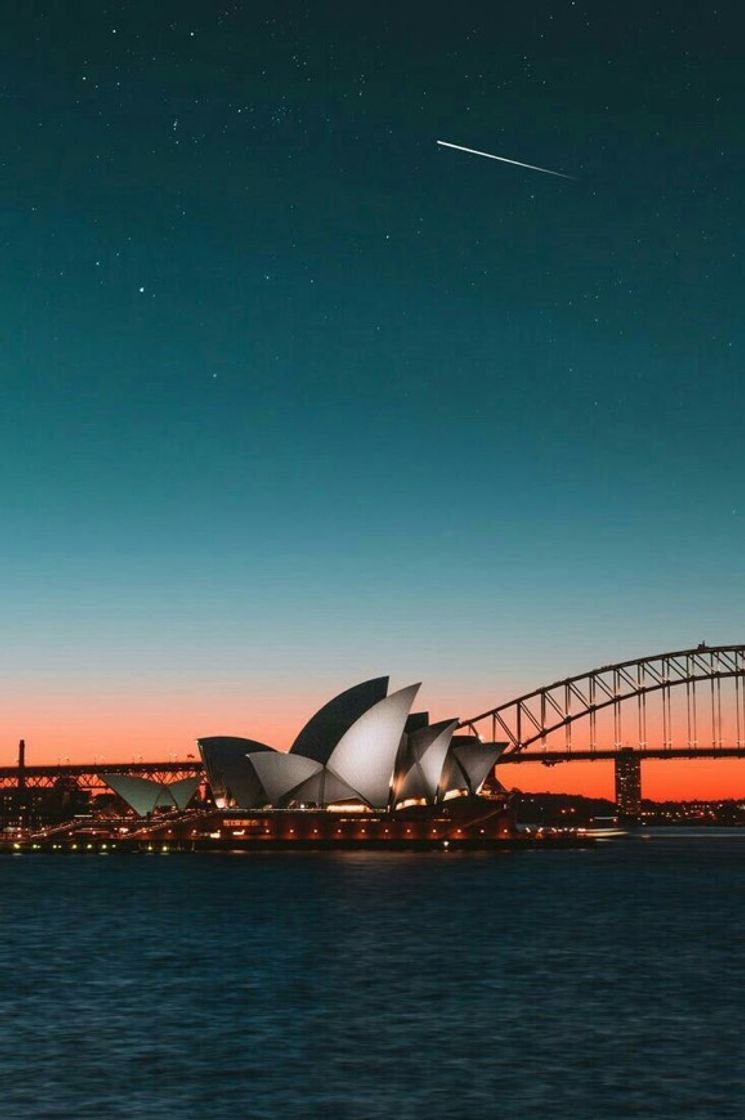 SIDNEY AUSTRÁLIA 🇦🇺 🐨 