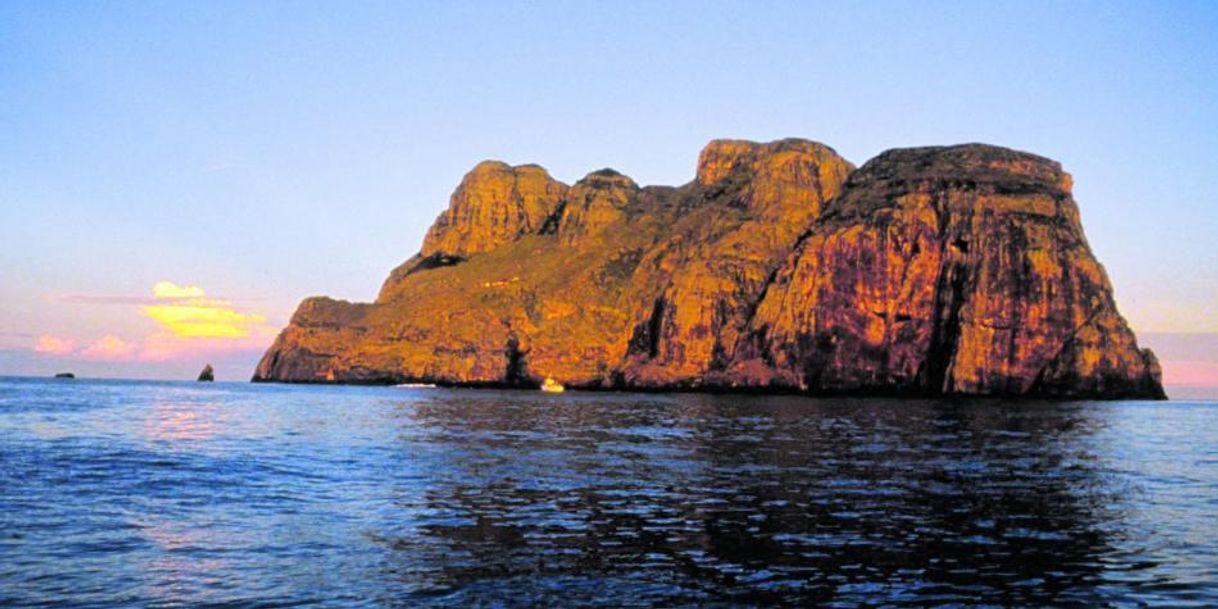 Lugar Isla de Malpelo