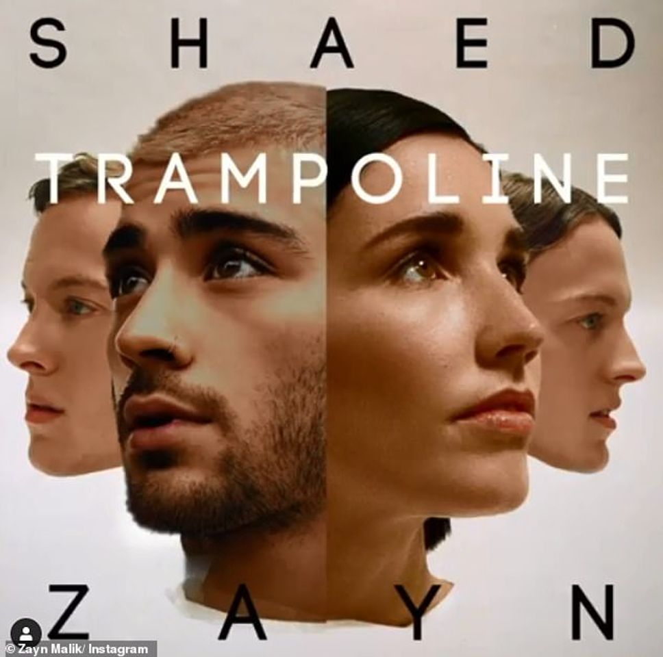 Canción Trampoline. Shaed Zayn
