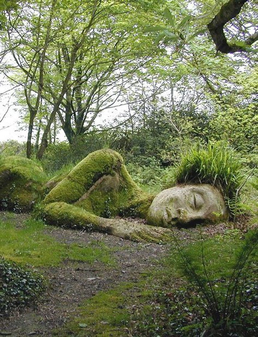 Social Los Jardines Perdidos de Heligan | Natural, Fotos de paisajes ...