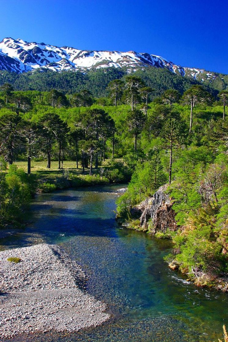 Place Cordillera de los Andes