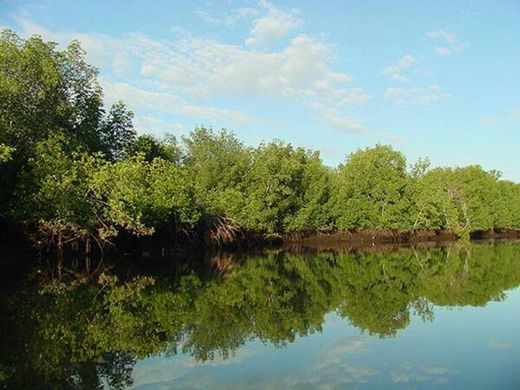 Estero de Aserradores