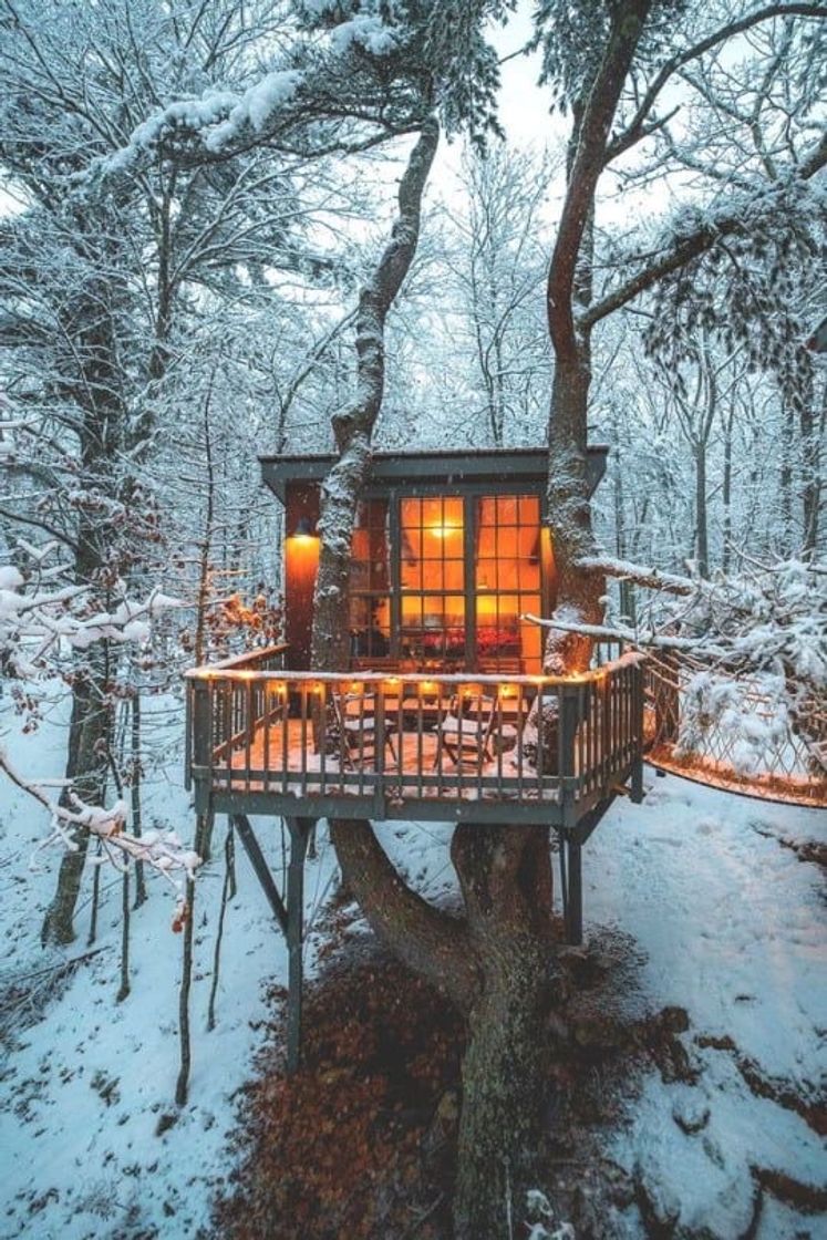 Lugares Tree House