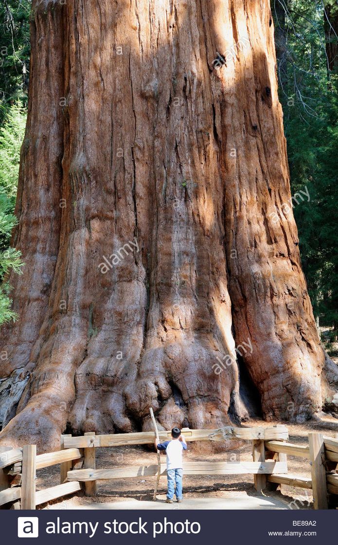 Places Redwood Park