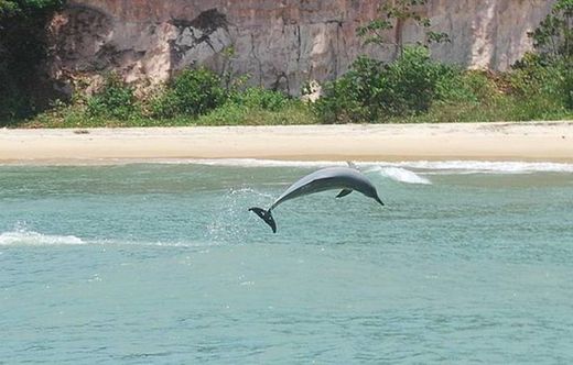 Playa Bahia De Los Delfines