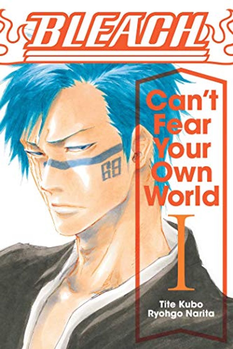 Book Bleach: Can't Fear Your Own World, Vol