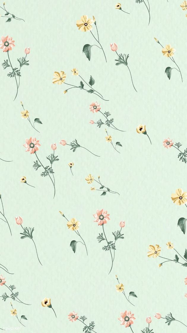 wallpaper 