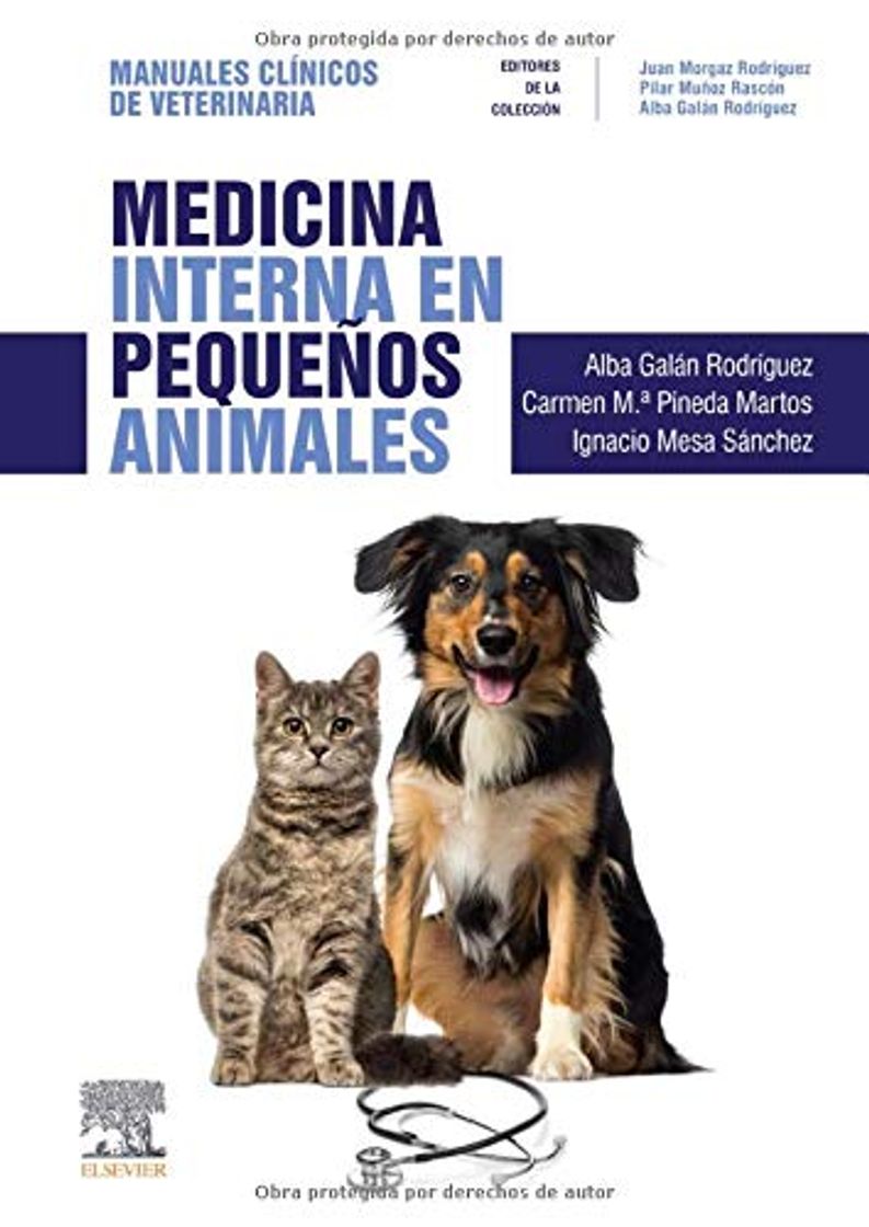 Libro Medicina Interna En Pequeños Animales: Manuales clínicos de Veterinaria