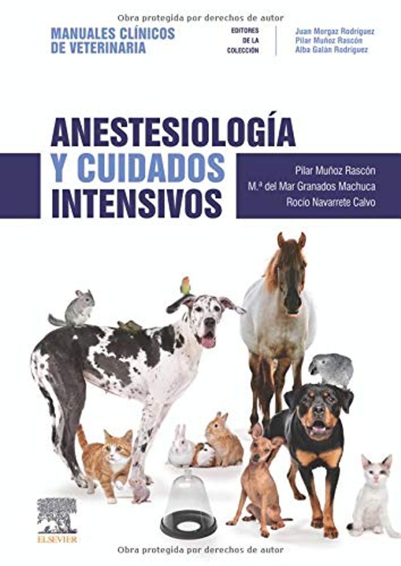 Book Anestesiología Y Cuidados Intensivos: Manuales clínicos de Veterinaria