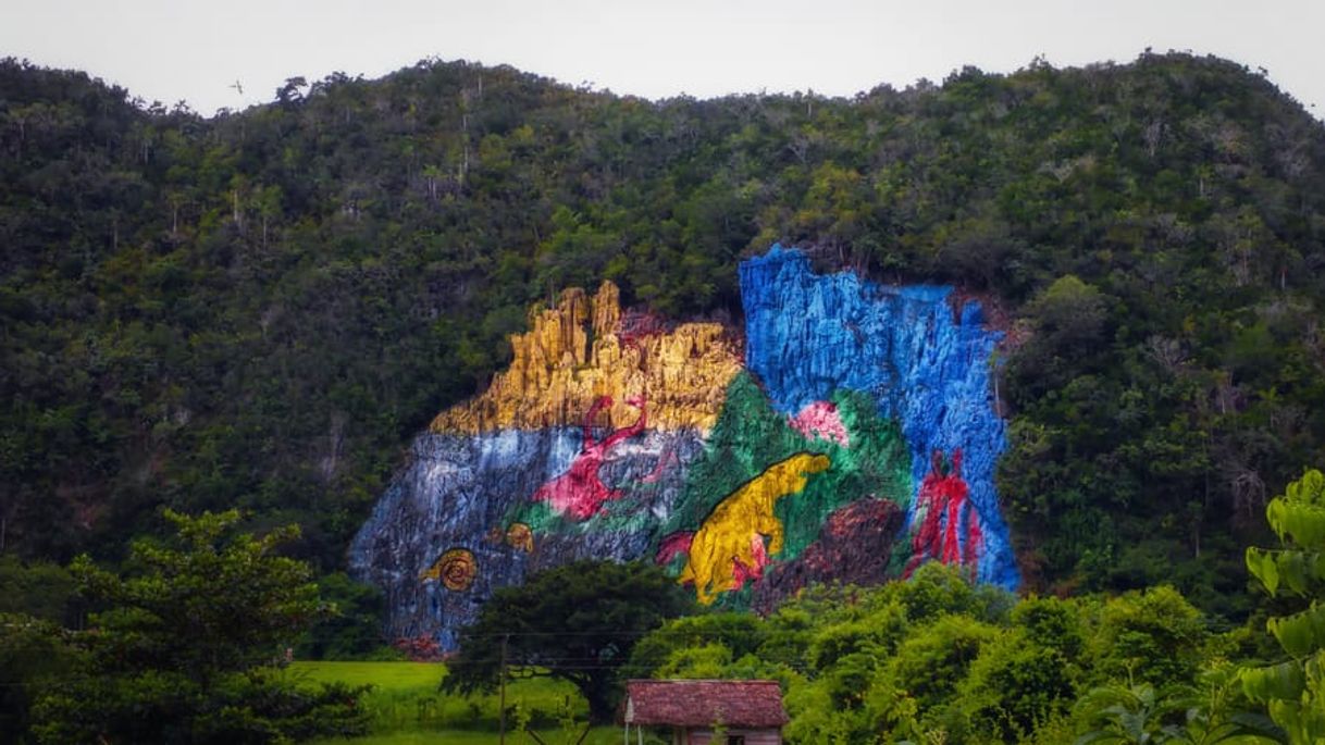 Place Viñales