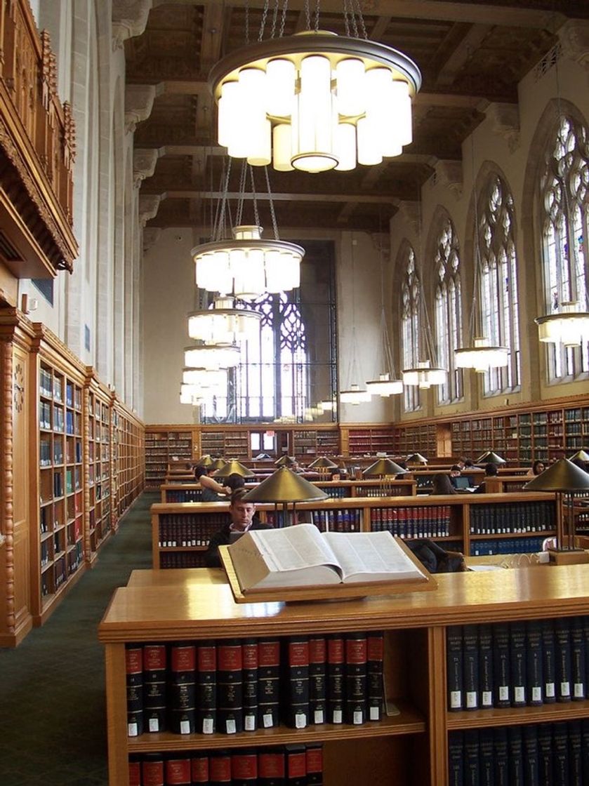 Moda yale law library 