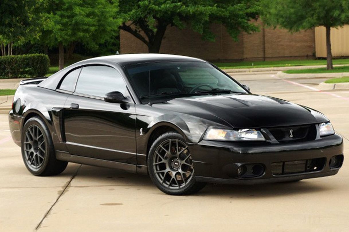 Terminator cobra 