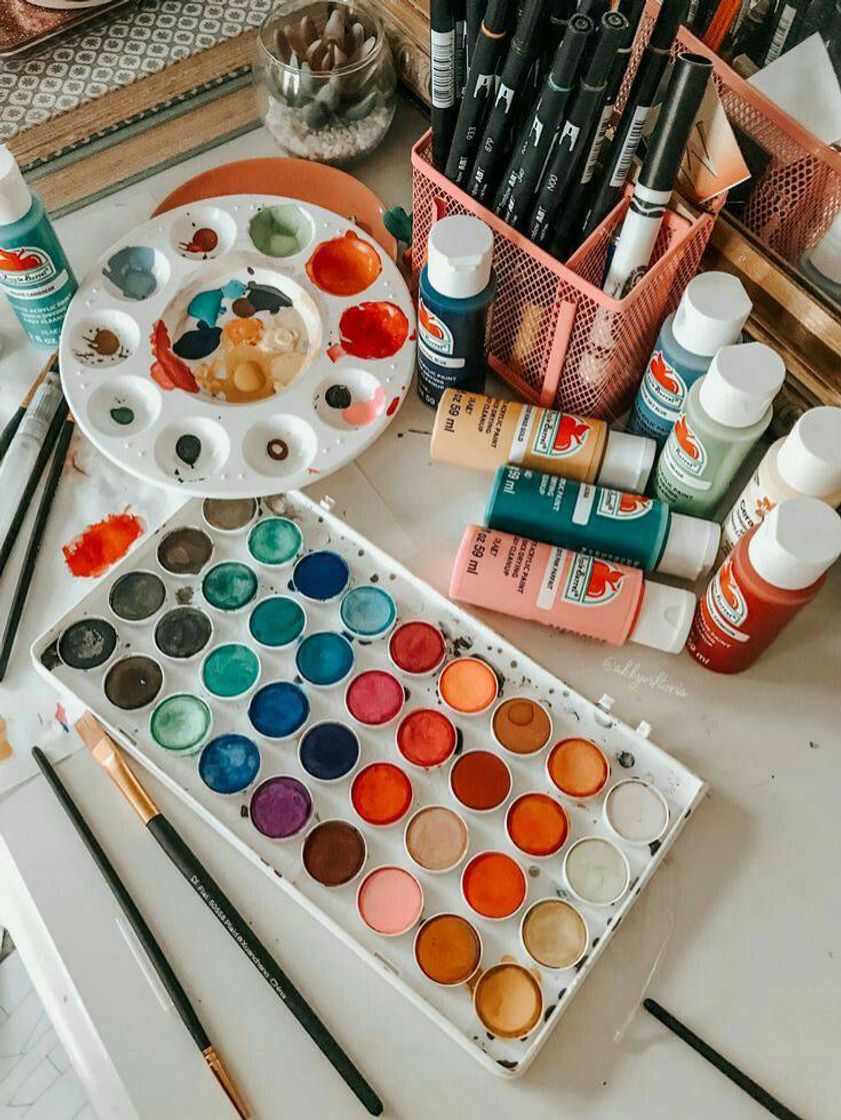 Moda 🎨