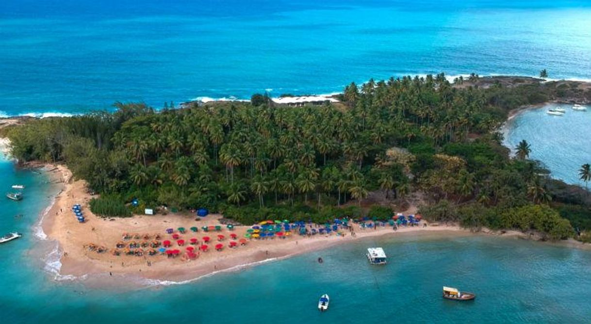 Place Ilha de Santo Aleixo