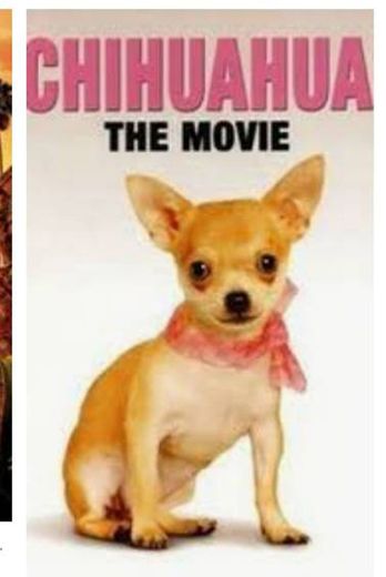  Chihuahua O Filme

