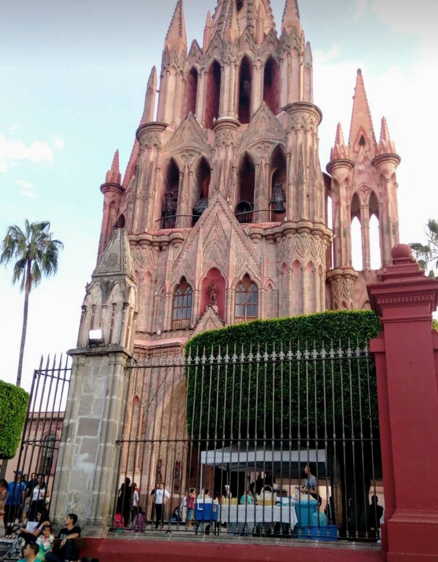 Place San Miguel de Allende