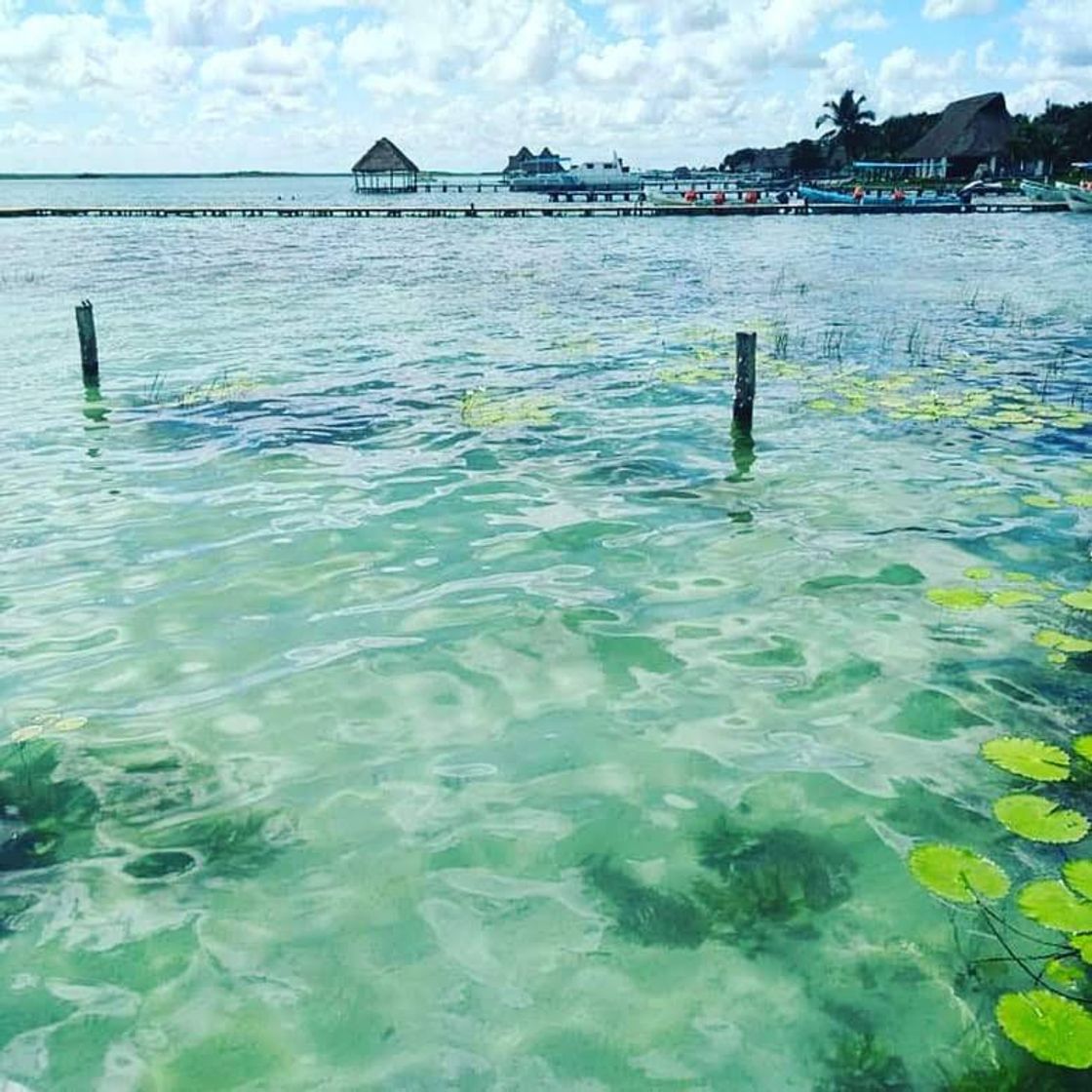Place Bacalar