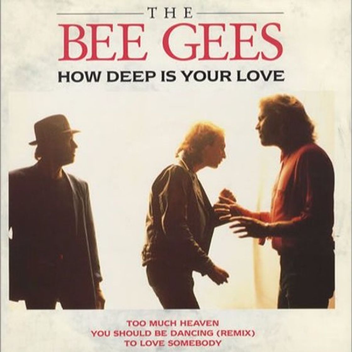 Social Bee Gees - How Deep Is Your Love