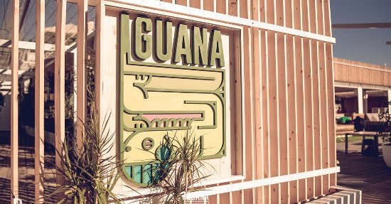 Place Iguana Snack's