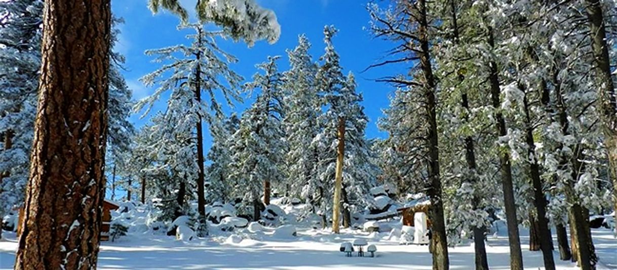 Lugar Parque Nacional Sierra de San Pedro Mártir