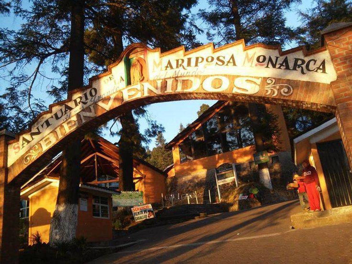 Lugar Reserva de la Biósfera Santuario Mariposa Monarca