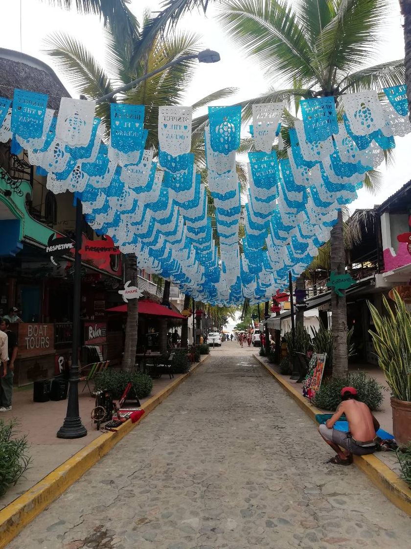 Place Sayulita