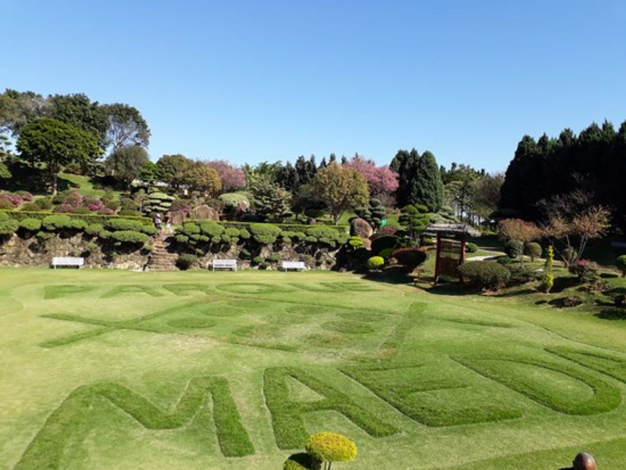 Place Parque Maeda