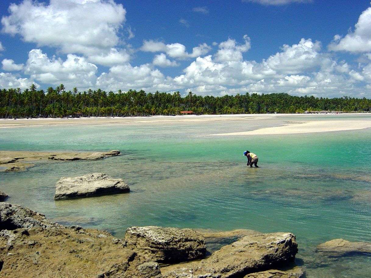 Place Praia dos Carneiros