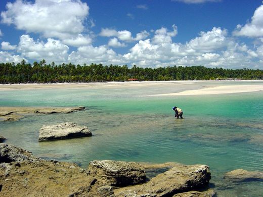 Praia dos Carneiros