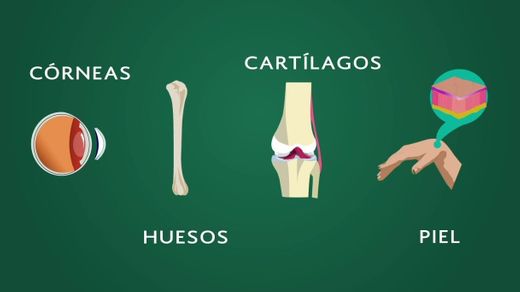 ¿Cómo puede usted ser donador?