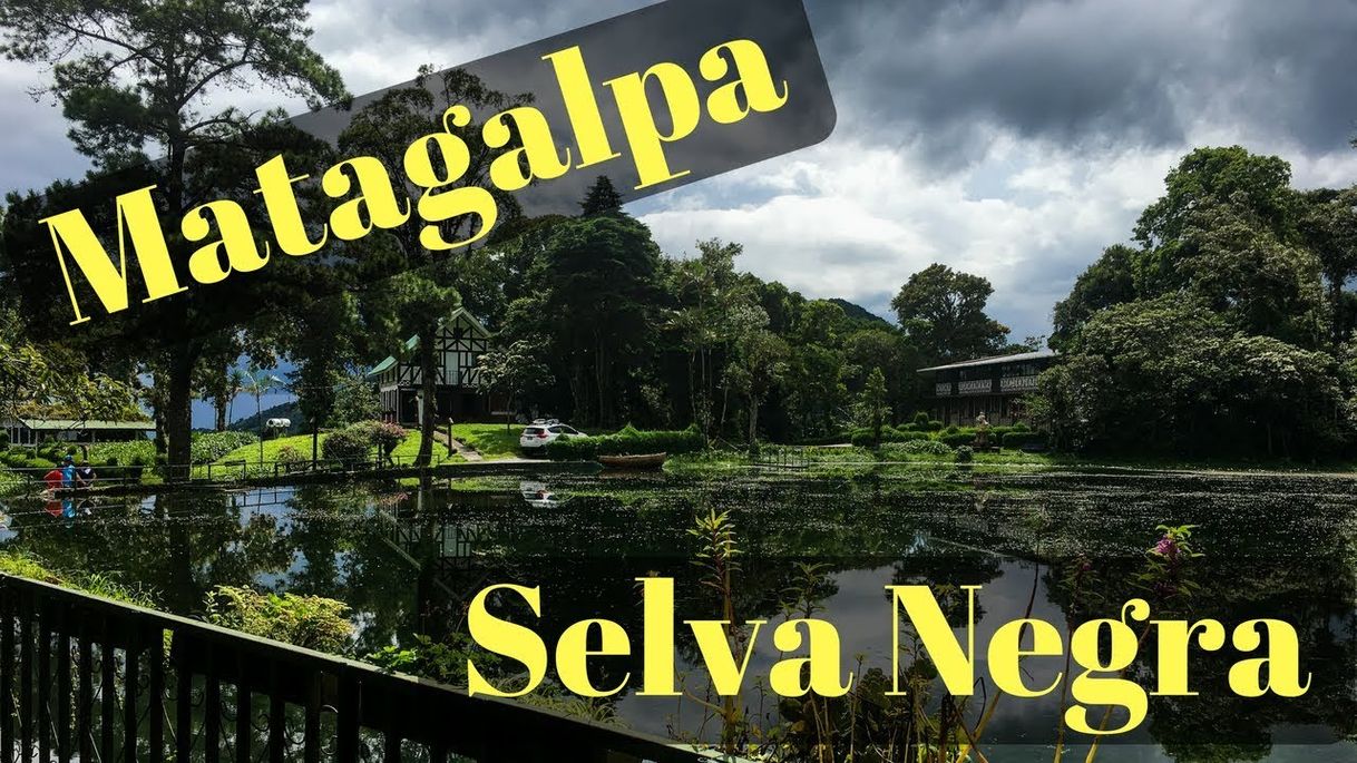 Lugar Selva Negra