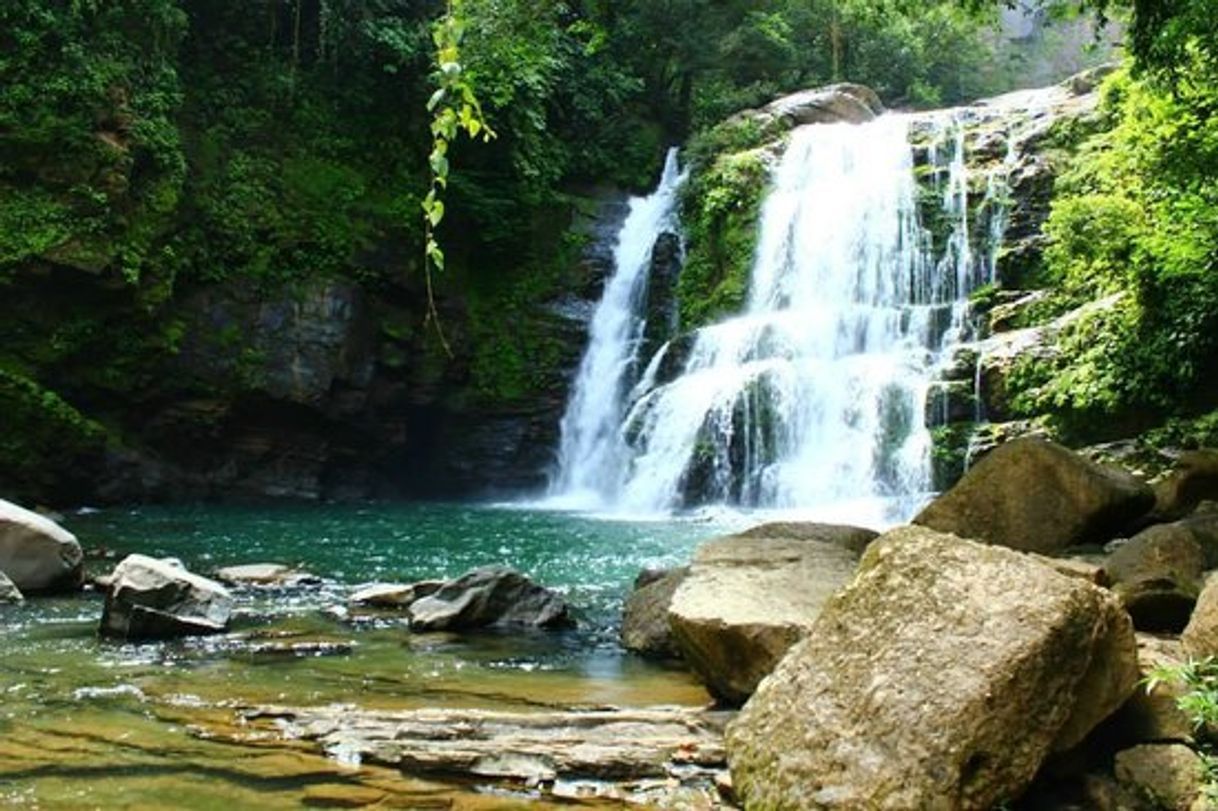 Restaurantes Nauyaca Waterfall Nature Park