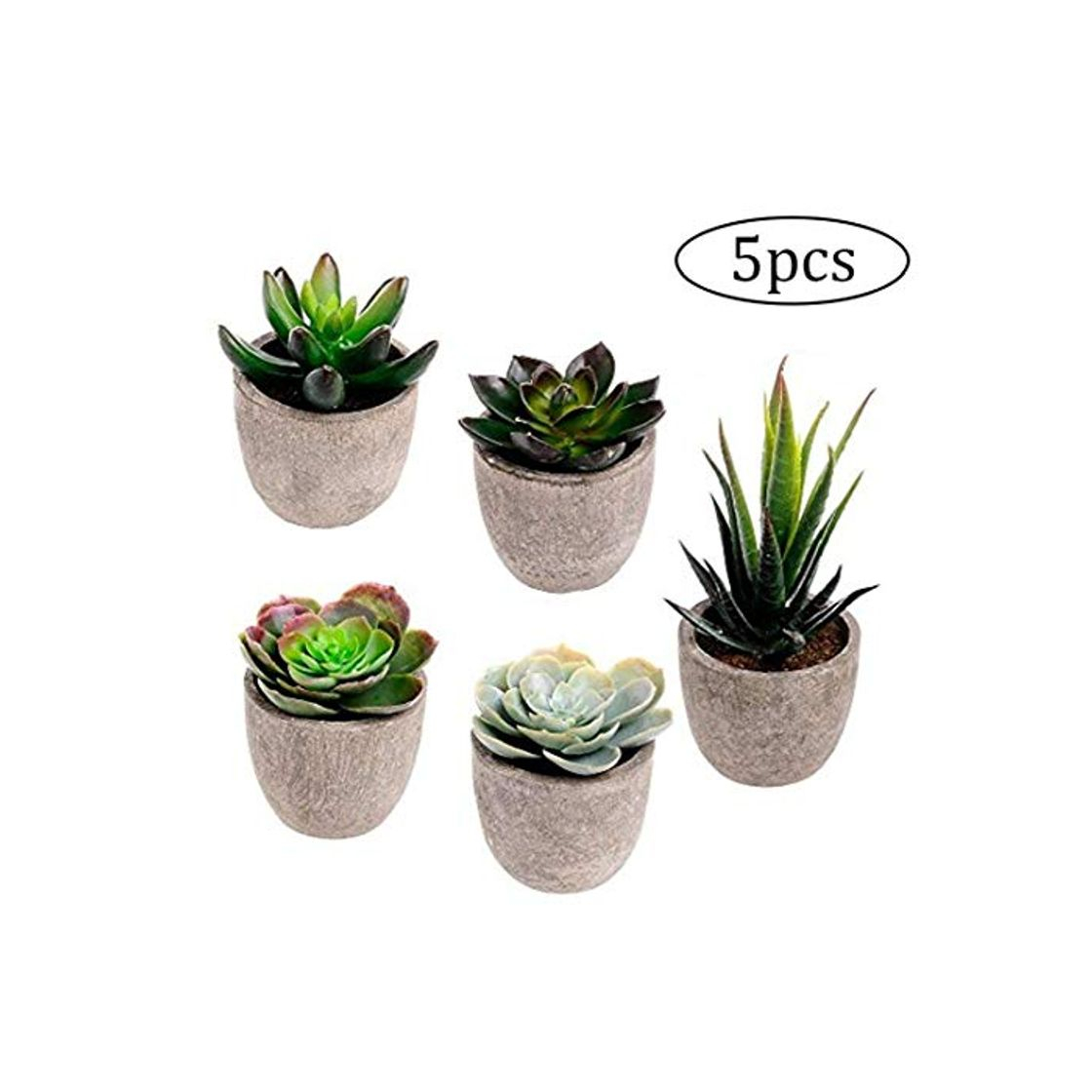 Social NiceButy Plantas Surtido Decorativo Simulación Artificial Suculento De Cacto Suculento Cactus con