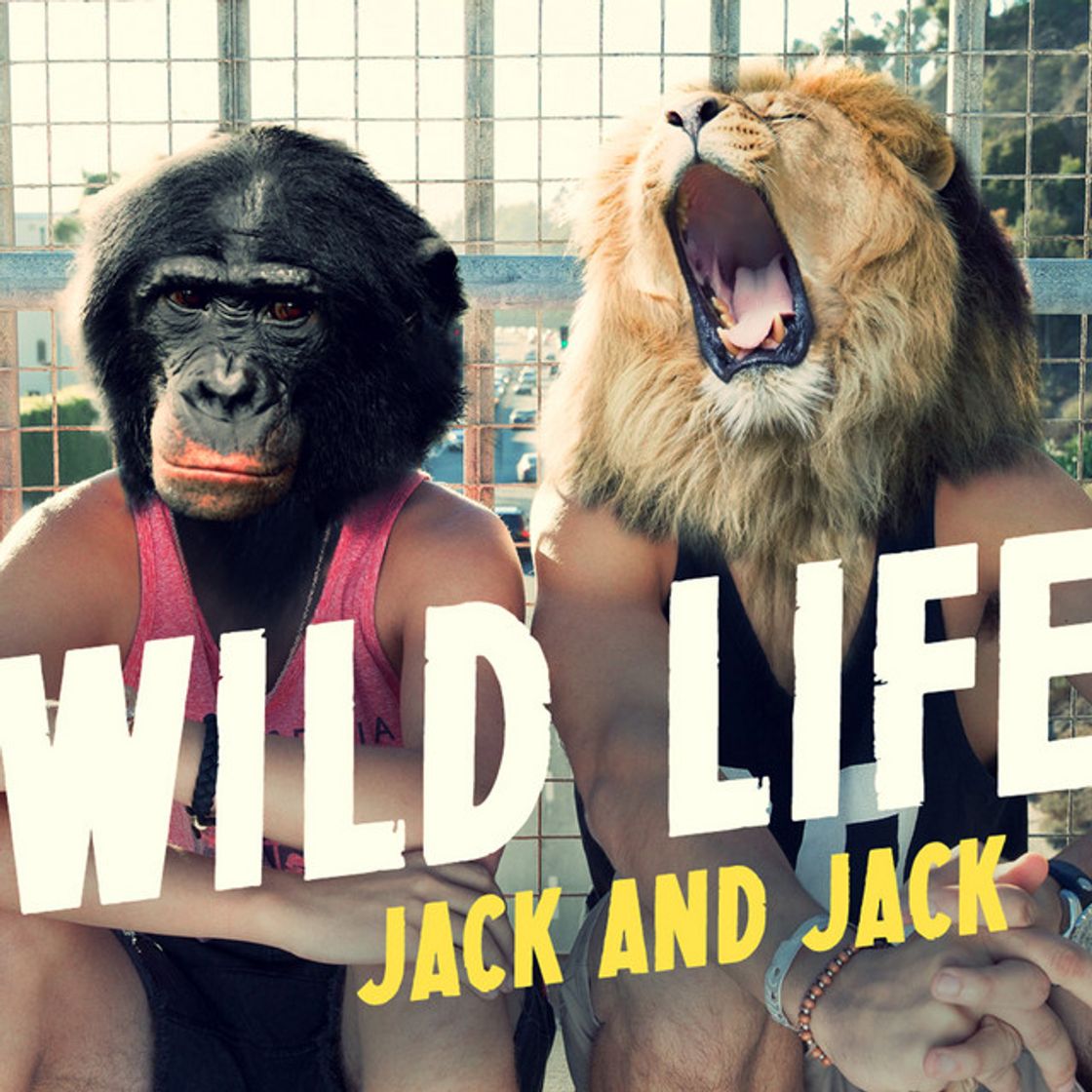 Canción Wild Life