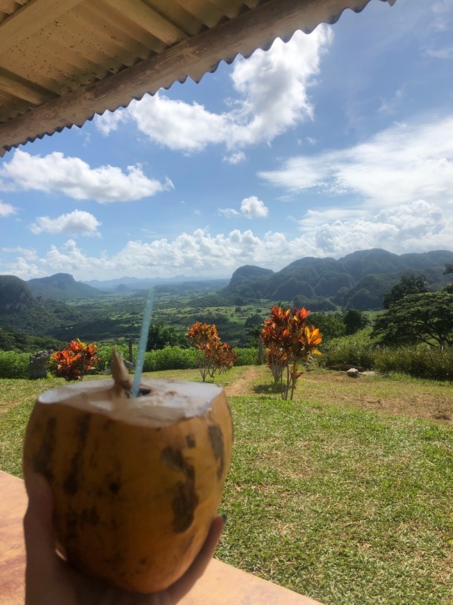 Place Viñales Valley