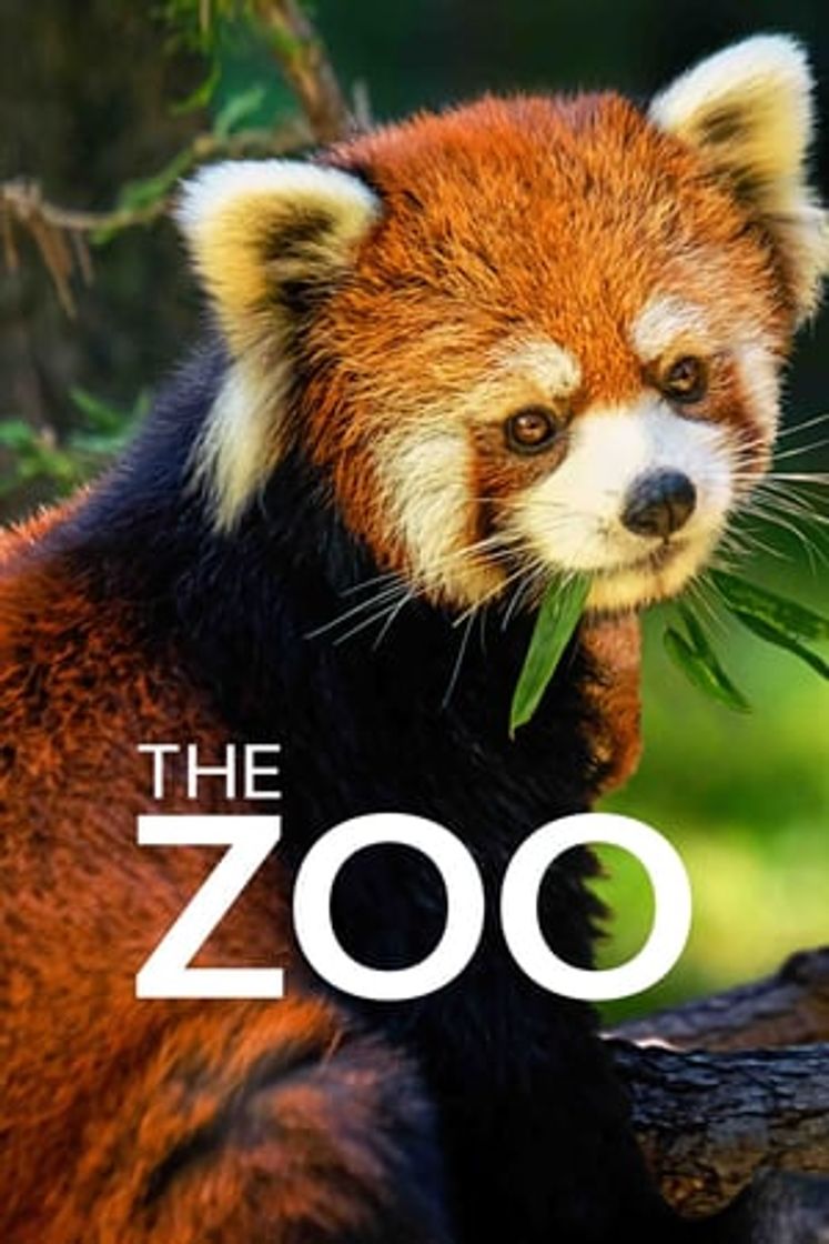 Serie The Zoo