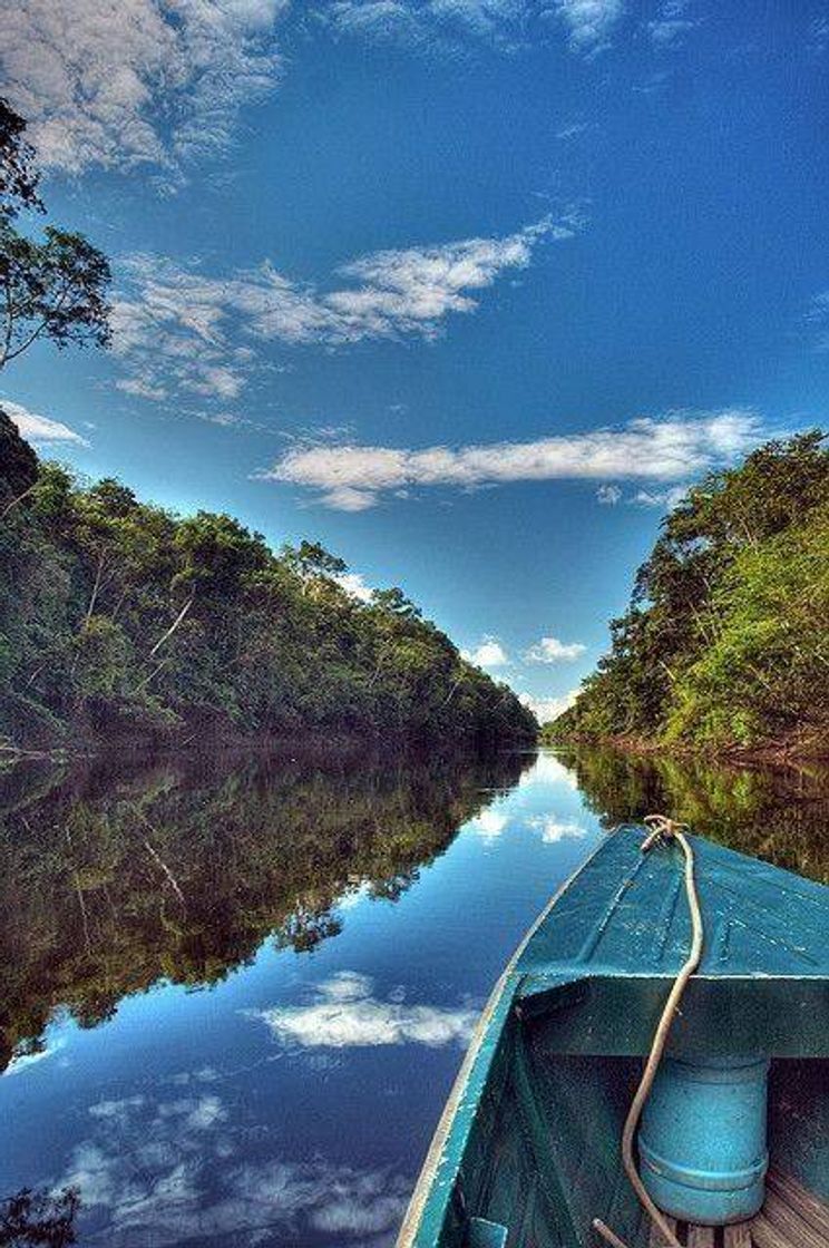 Social Amazonas