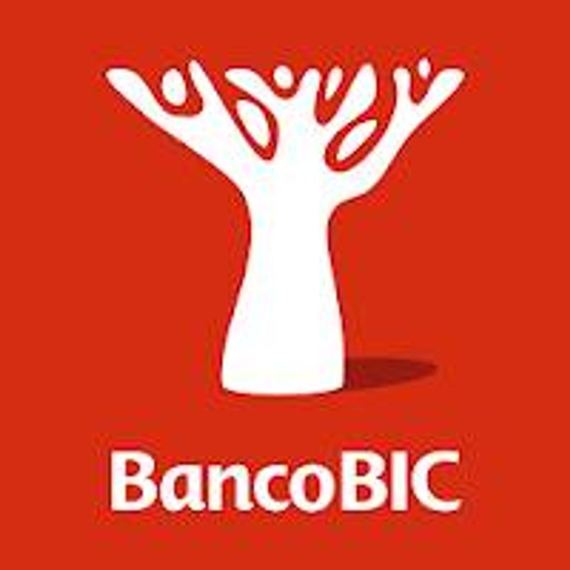 App Banco BIC - Mobile Banking