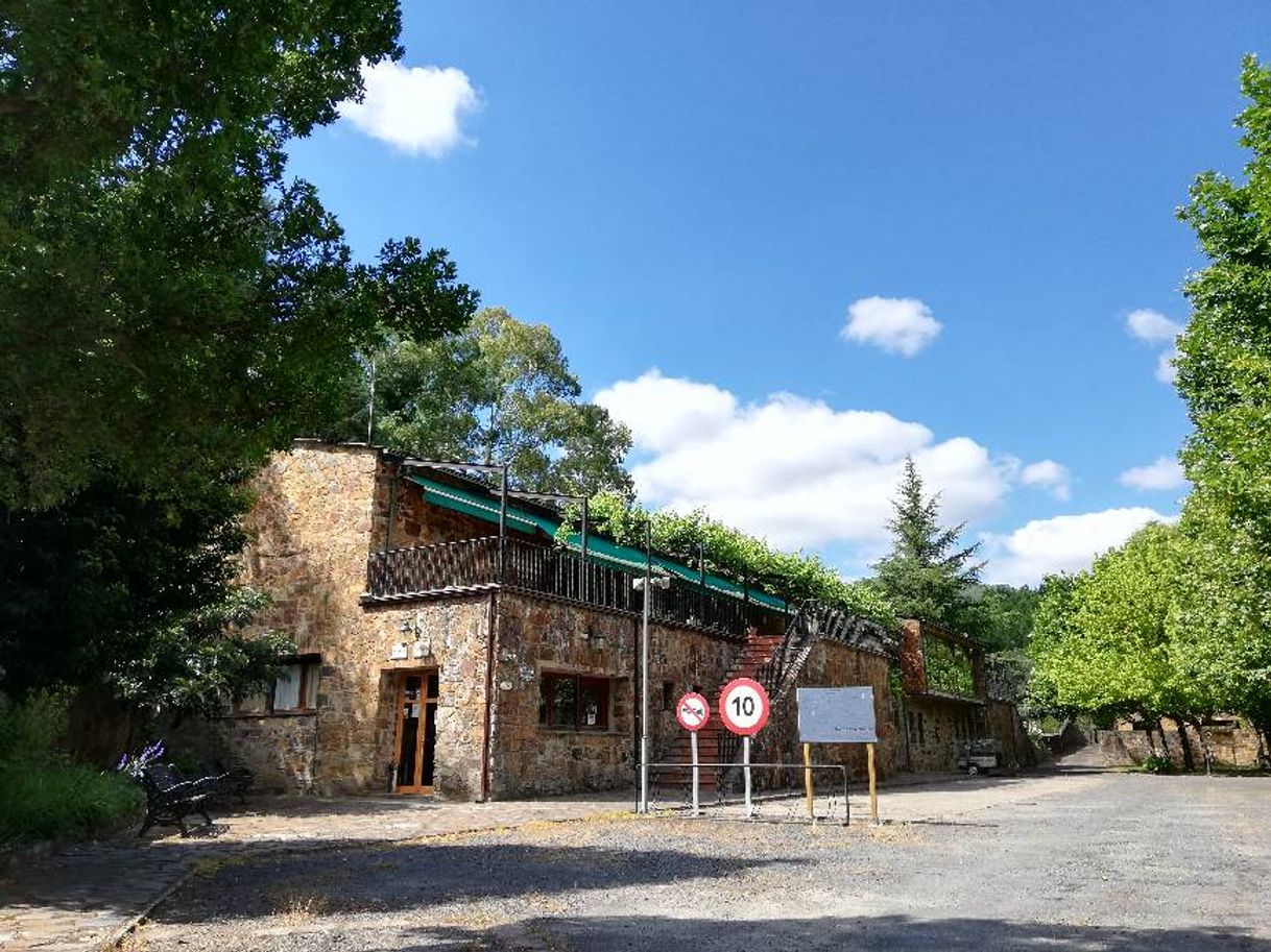 Places Camping Bungalows Del Pino