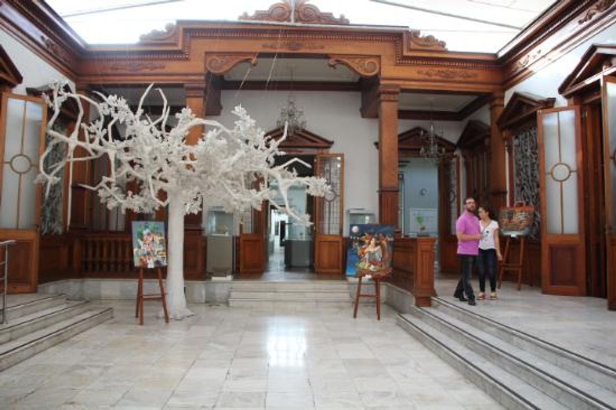 Place Museo Andrés Del Castillo