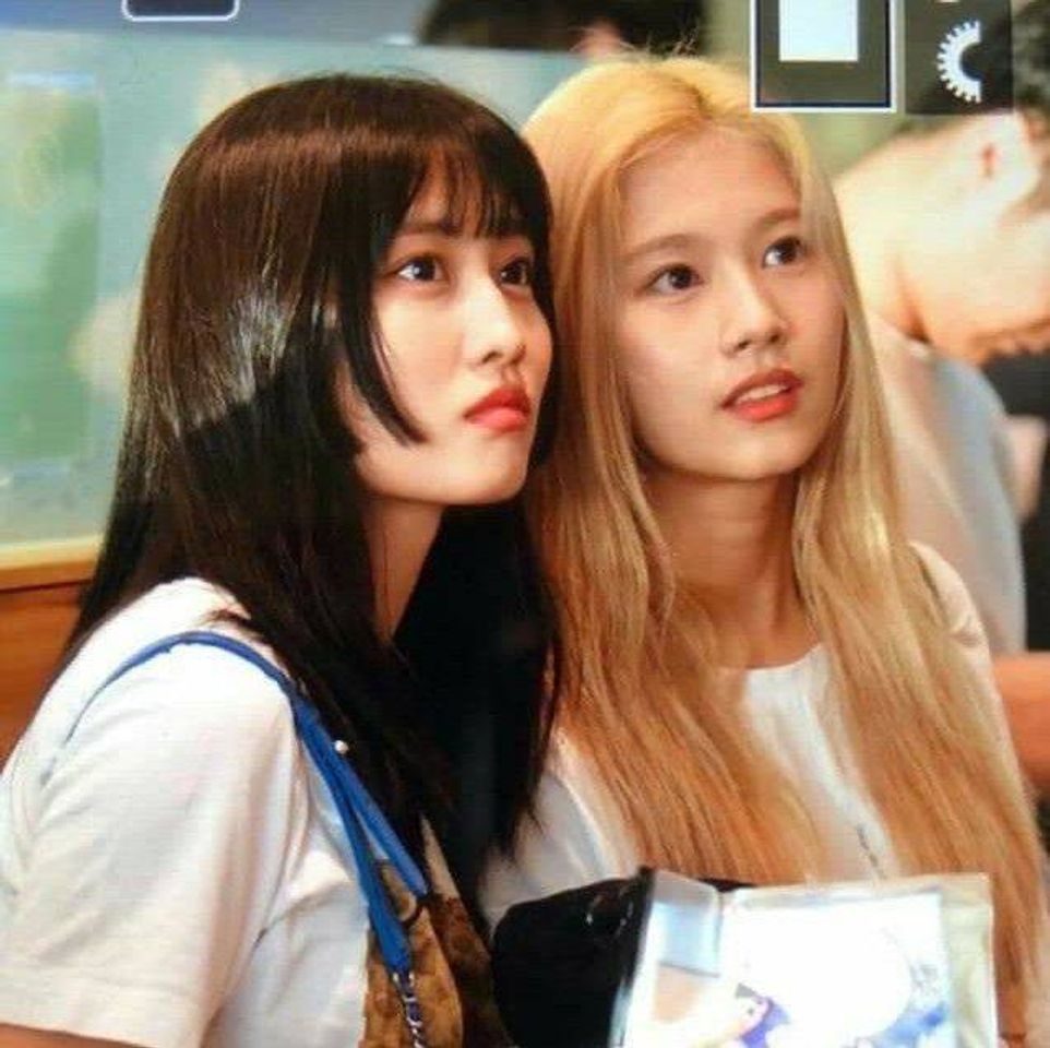 Moda Twice Momo and Sana