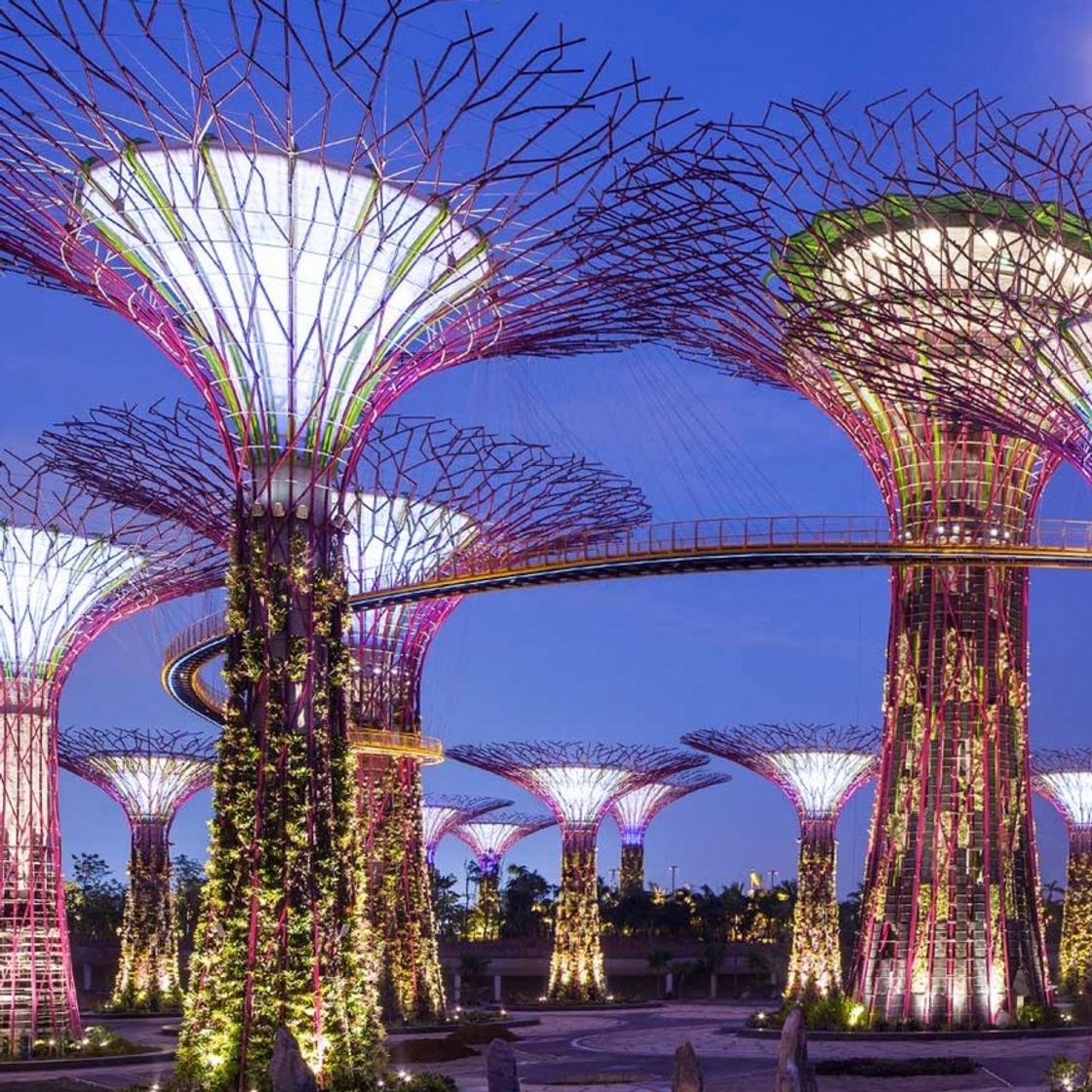 Lugar Gardens by the Bay