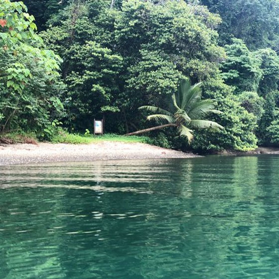 Lugar Parque Nacional Natural Utría